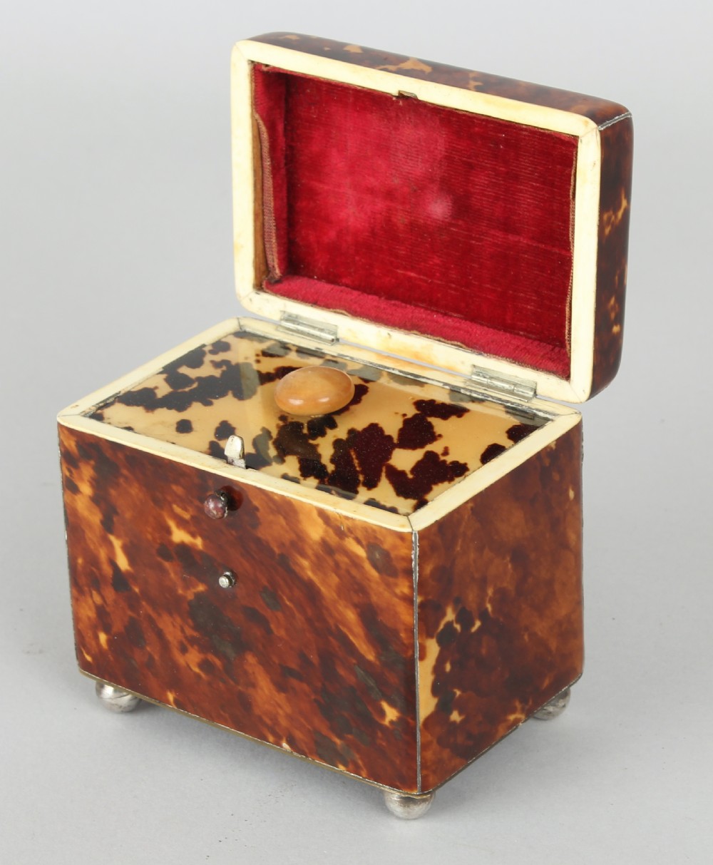 George III period small tortoise-shell tea-caddy View II