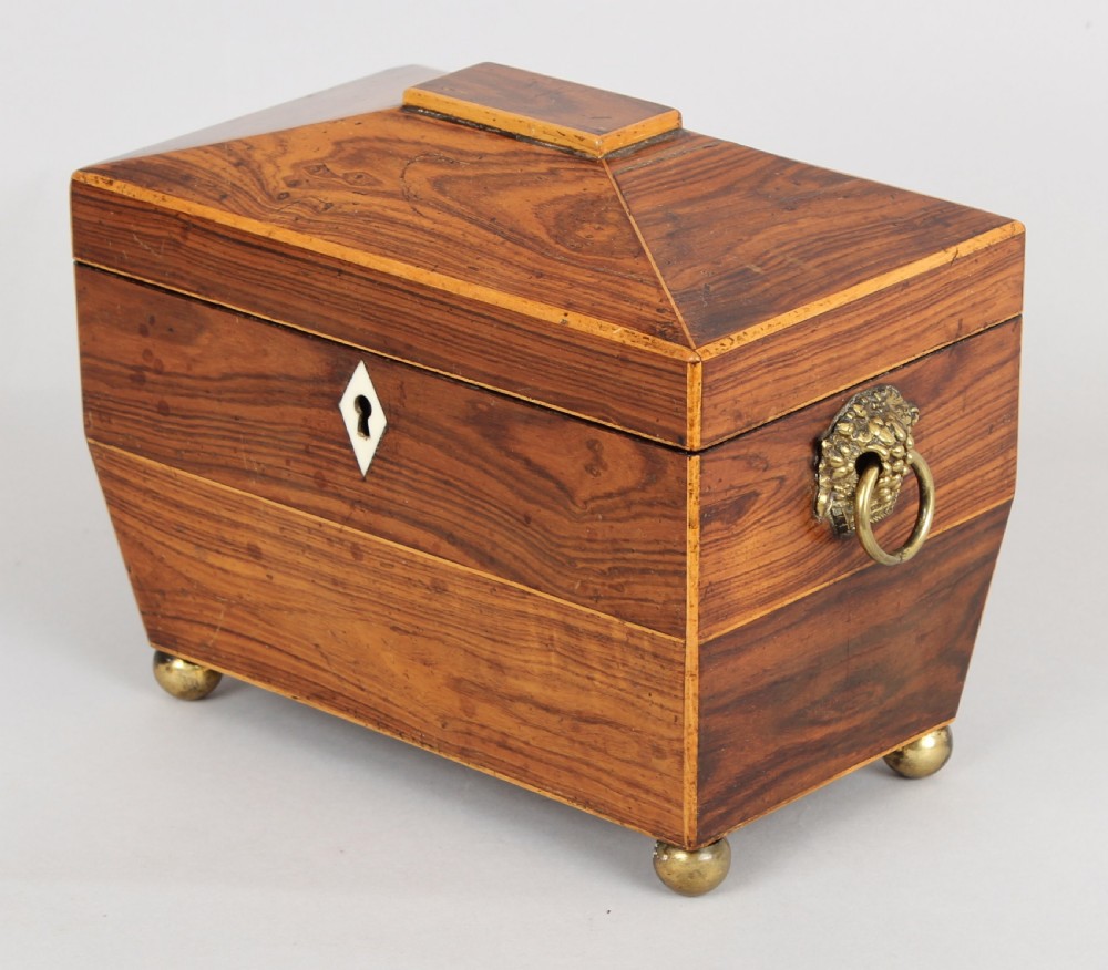 George IV period rosewood sarcophagus-shaped tea-caddy