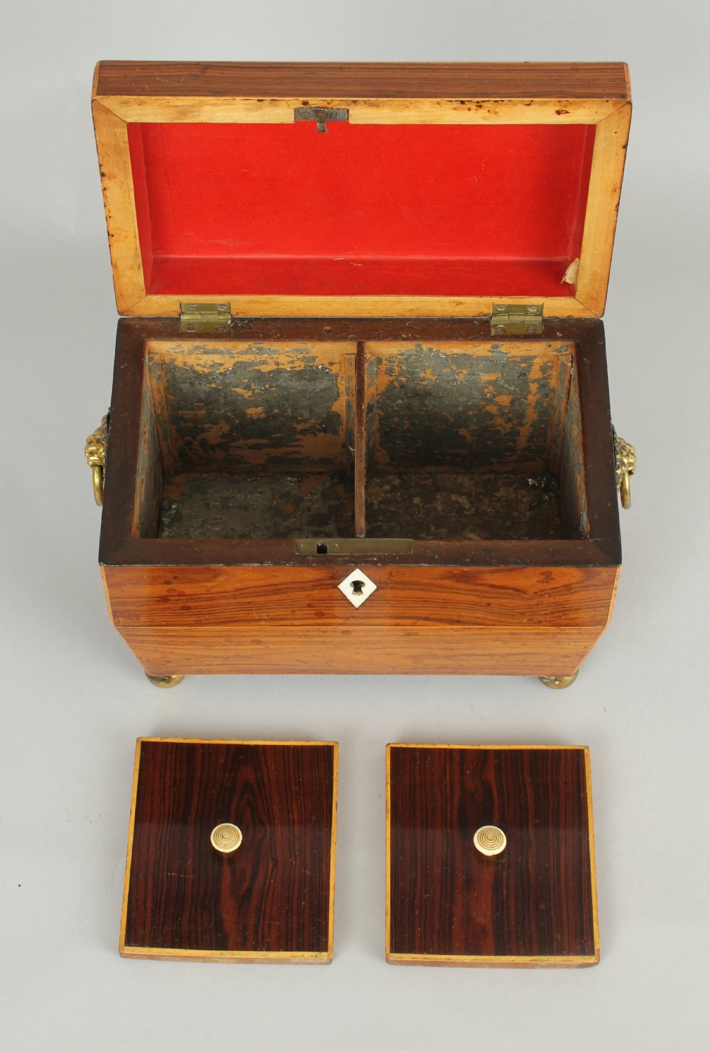 George IV period rosewood sarcophagus-shaped tea-caddy View IV