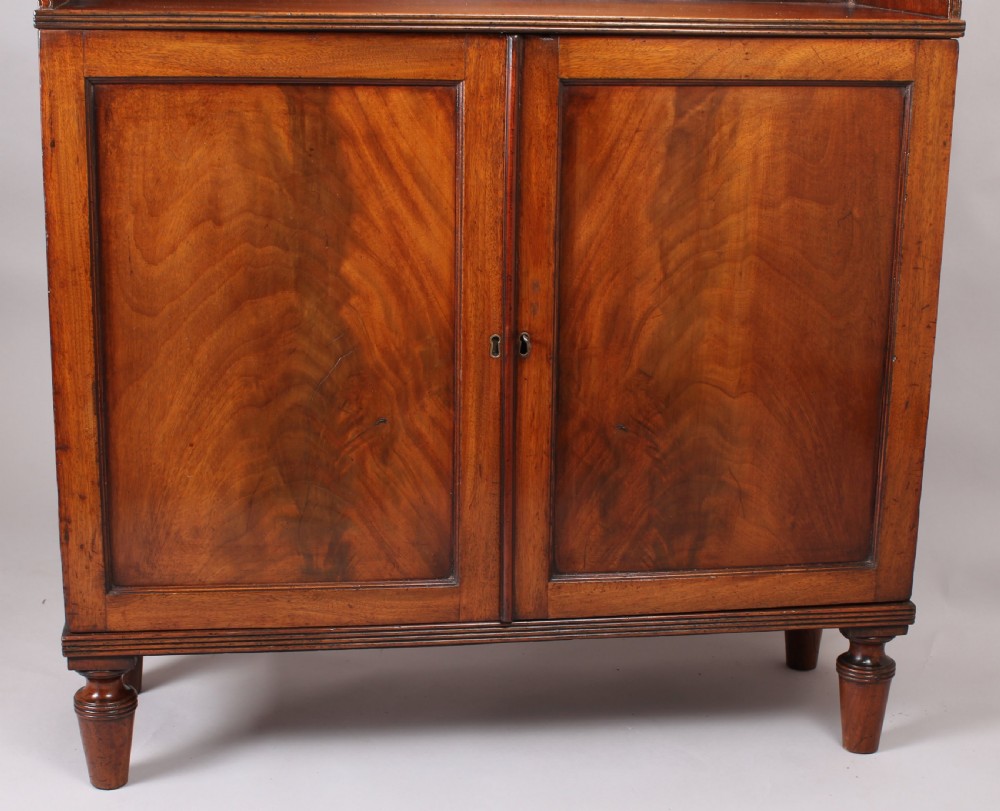 George IV period mahogany bookcase-cabinet View III