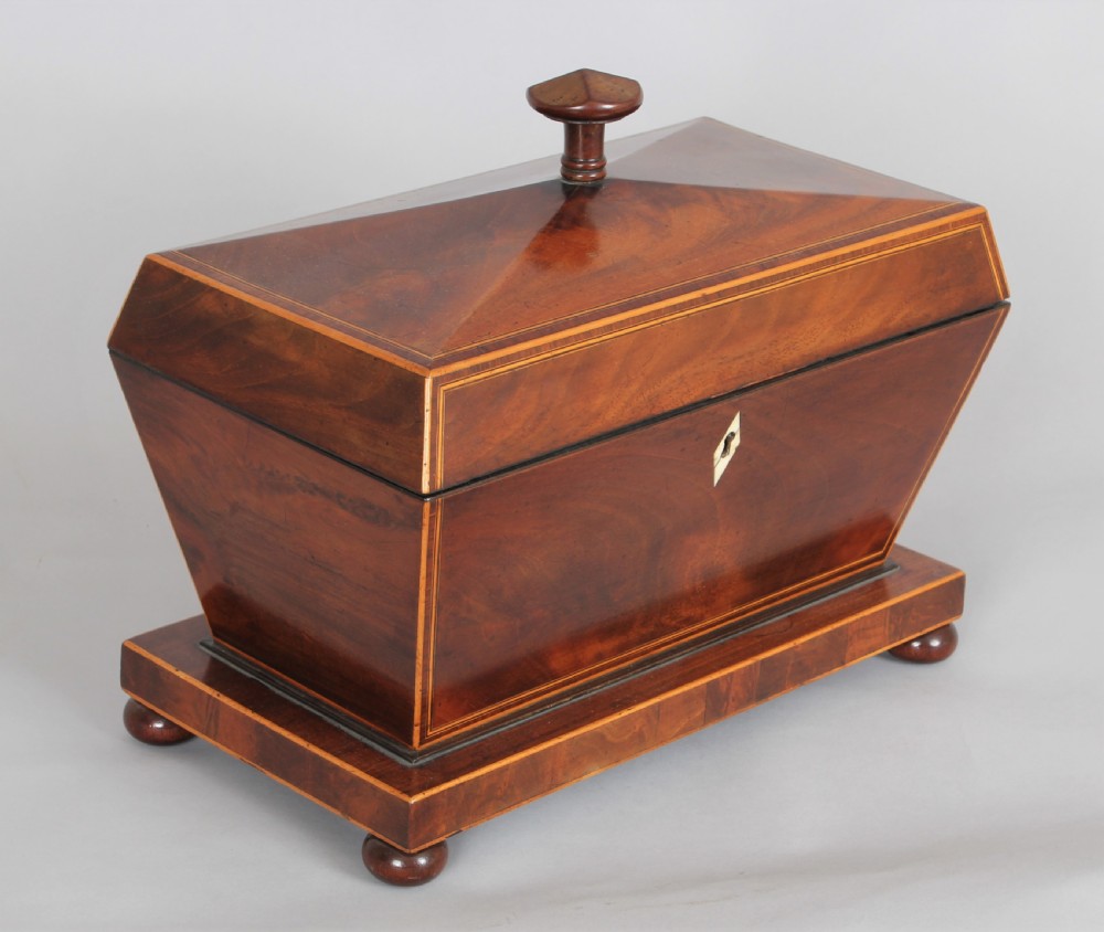 Bold mahogany sarcophagus shaped tea caddy