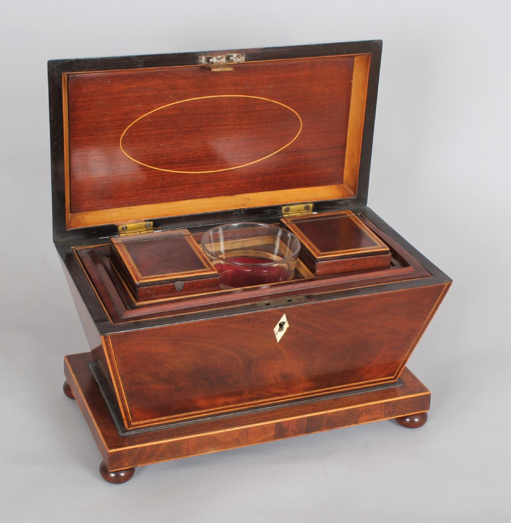 Bold mahogany sarcophagus shaped tea caddy View III