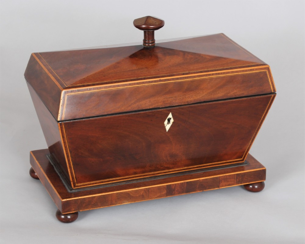 Bold mahogany sarcophagus shaped tea caddy View V