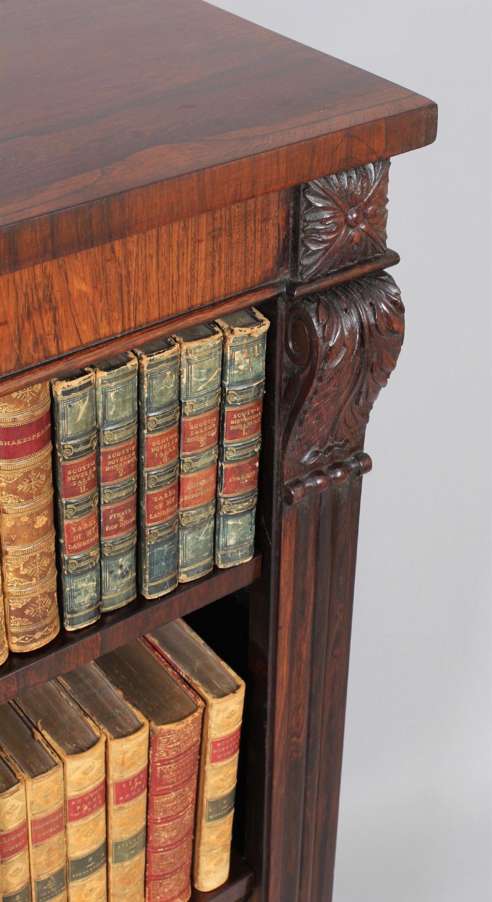 George IV period rosewood bookcase View III