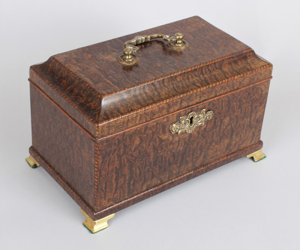 George III period snakewood tea caddy View III