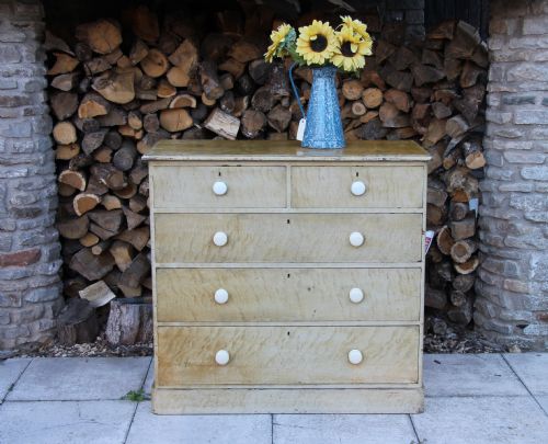Unusual Large Scumbled Victorian Chest of Drawers