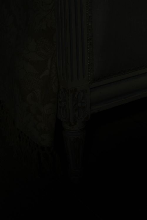 fig 3. Pretty pair of French newly upholstered beds