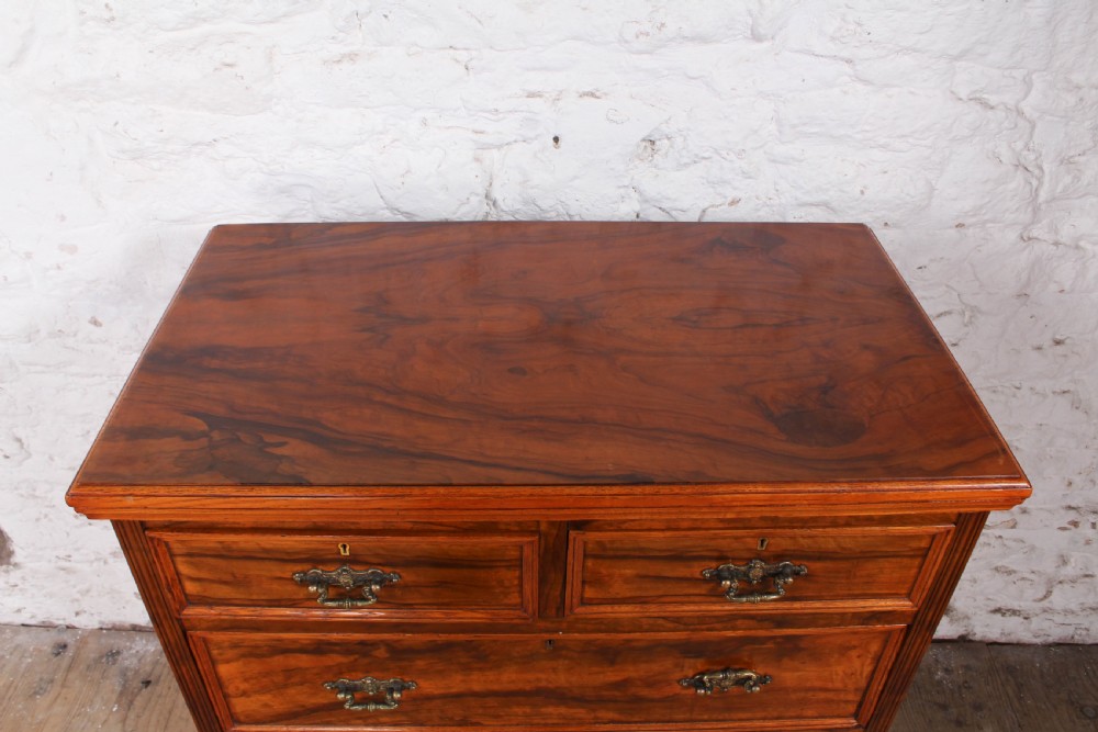 Rare  Olive wood small chest of drawers by Maples and Co View III