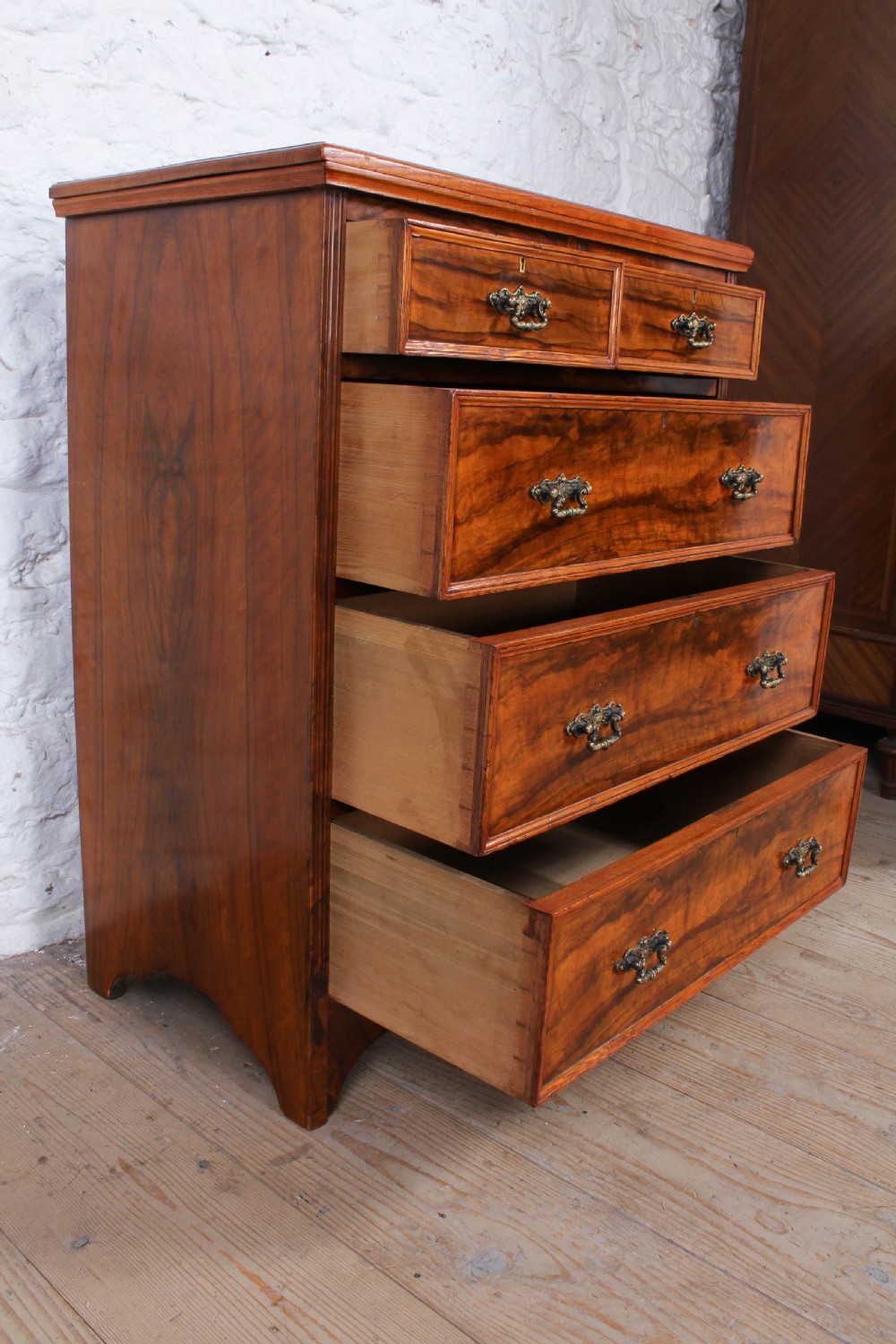 Rare  Olive wood small chest of drawers by Maples and Co View V