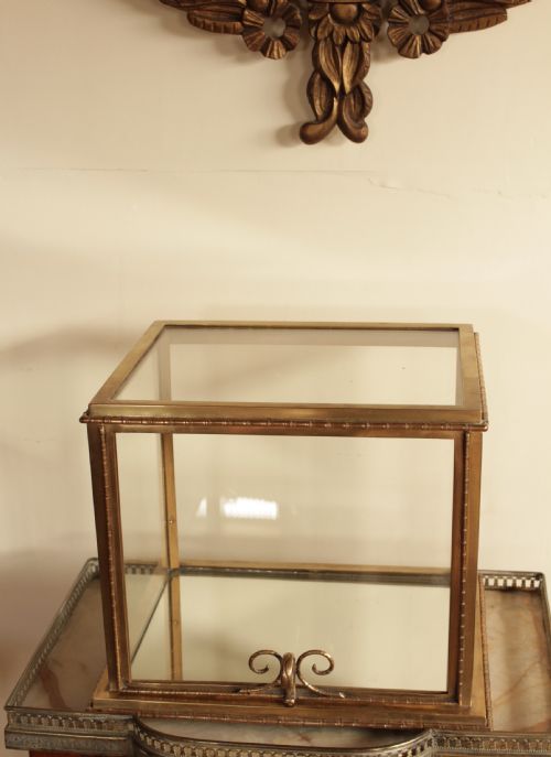 A Bamboo Design  Brass Display Case
