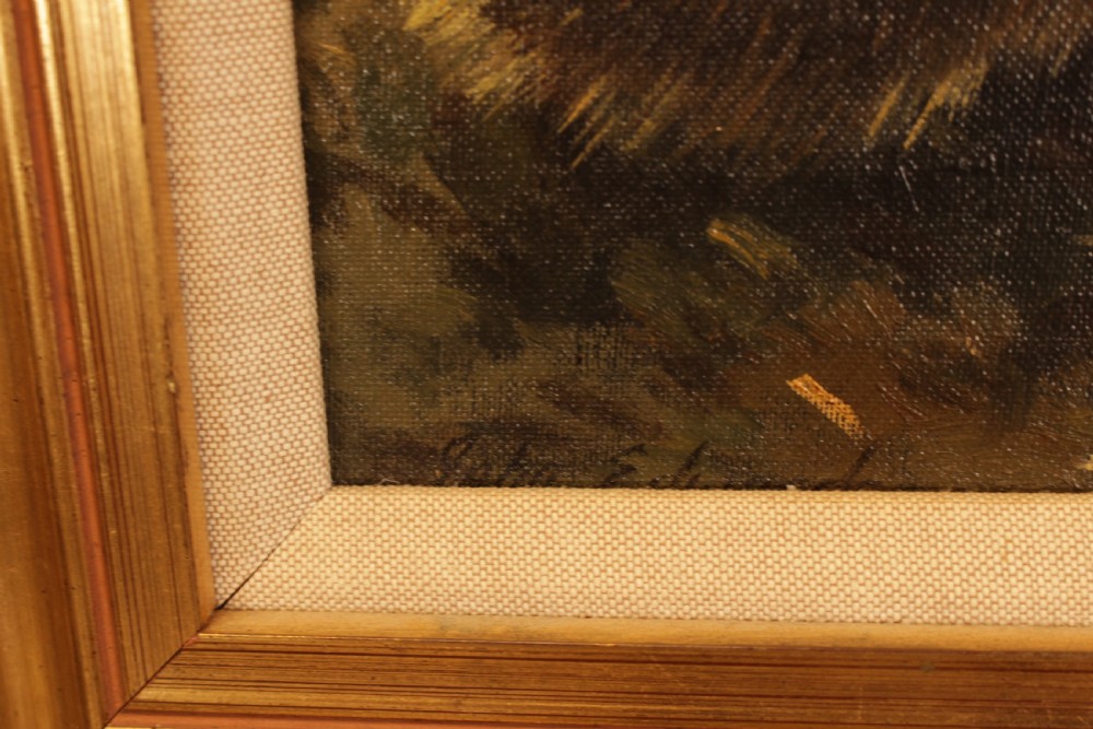 A Oil On Board Of Hedgehog & Toadstool   View V