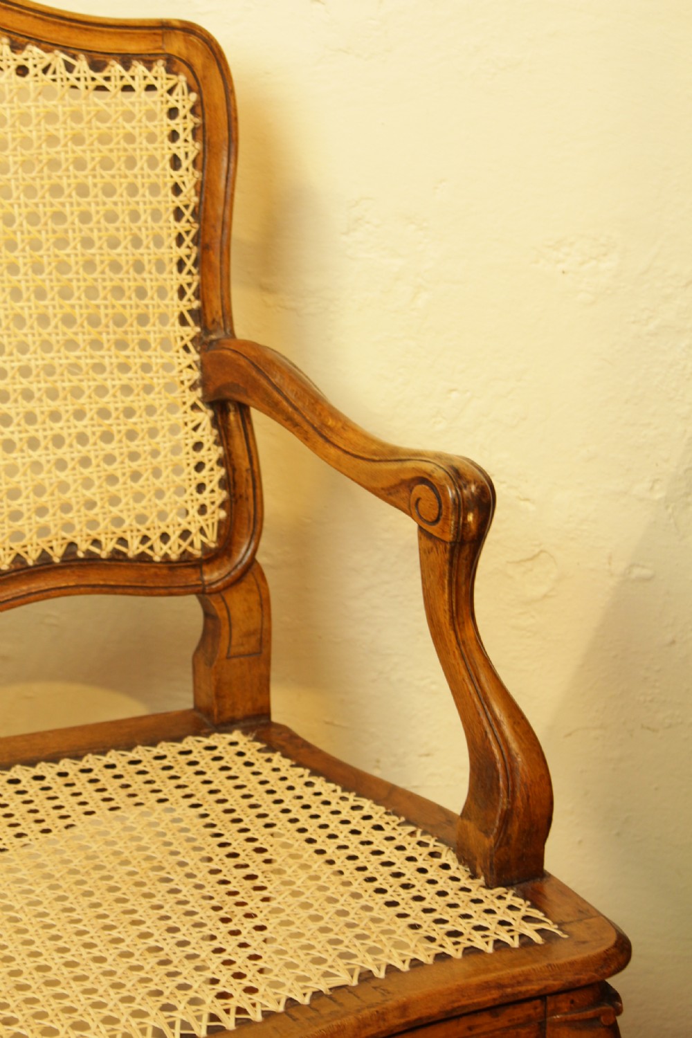 A 19th French Walnut Bergere/Cane Armchair  View IV