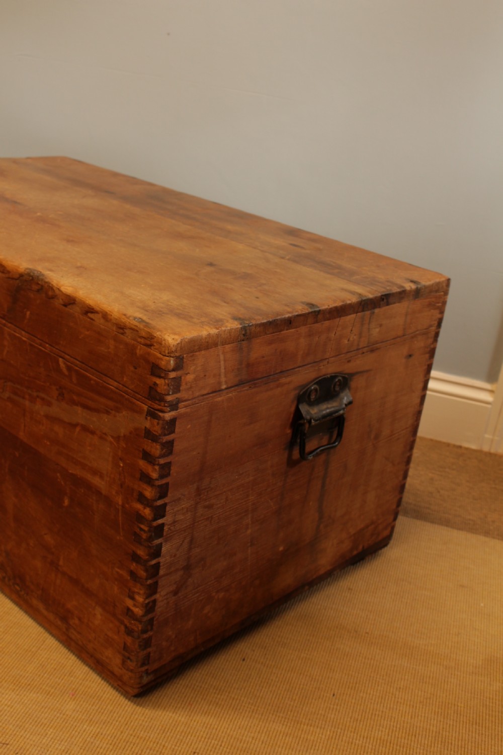 A 1920's Western Canadian Cedar Trunk View II