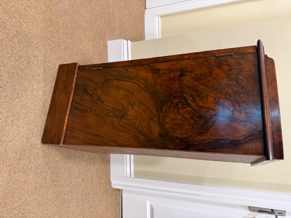 A 19th-century burr walnut bedside cabinet with a single panelled door, turned knob handle, and plinth base. View V