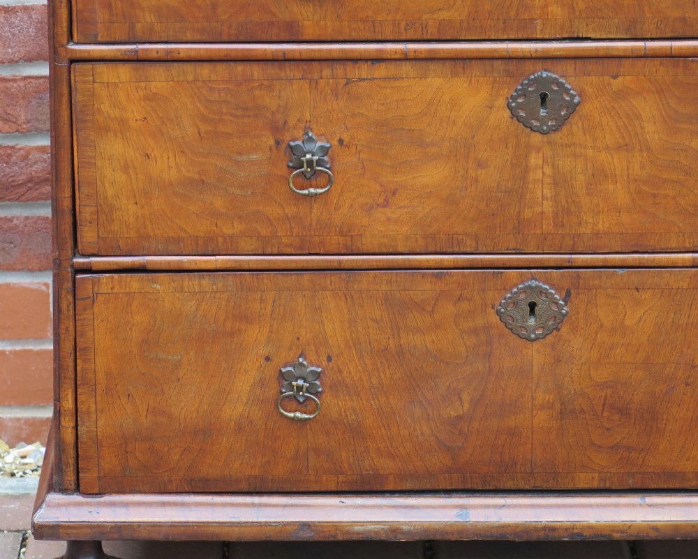 An early 18th-century Queen Anne period walnut chest of drawers featuring two short drawers over three long drawers, standing on turned bun feet. View VII