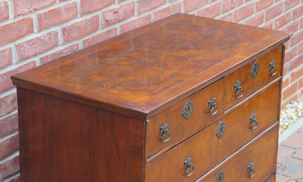 An early 18th-century Queen Anne period walnut chest of drawers featuring two short drawers over three long drawers, standing on turned bun feet. View XIX