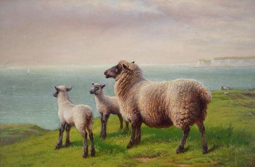 LANDSCAPE OIL PAINTING OF SHEEP ON A CLIFF TOP BY CHARLES JONES - ADDITIONAL PHOTO 1
