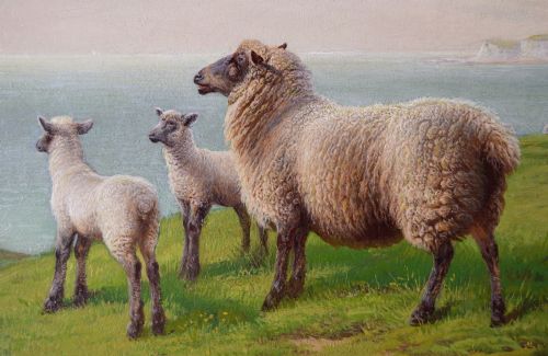LANDSCAPE OIL PAINTING OF SHEEP ON A CLIFF TOP BY CHARLES JONES - ADDITIONAL PHOTO 2
