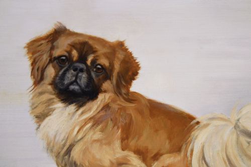 fig 1. An oil painting depicting a tan Pekingese dog named Robert resting on a dark cushion, set within a gilded frame.