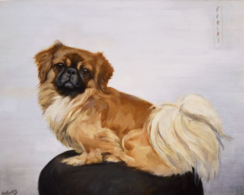 fig 2. An oil painting depicting a tan Pekingese dog named Robert resting on a dark cushion, set within a gilded frame.