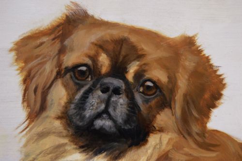 fig 3. An oil painting depicting a tan Pekingese dog named Robert resting on a dark cushion, set within a gilded frame.