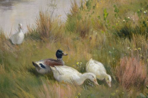ANIMAL OIL PAINTING OF CALVES DUCKS AT A RIVER BY CLAUDE CARDON - ADDITIONAL PHOTO 3