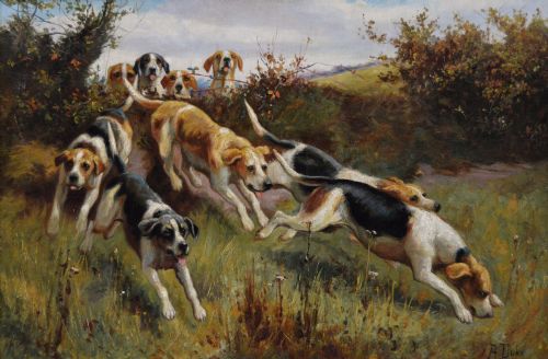 SPORTING OIL PAINTING OF HUNTING DOGS GOING OVER A HEDGE BY ALFRED DUKE - ADDITIONAL PHOTO 1