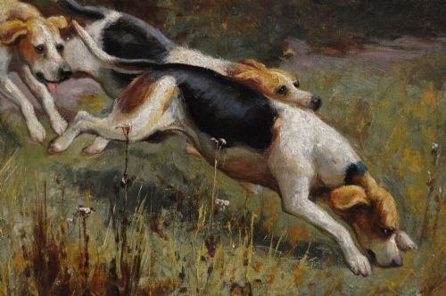 SPORTING OIL PAINTING OF HUNTING DOGS GOING OVER A HEDGE BY ALFRED DUKE - ADDITIONAL PHOTO 3