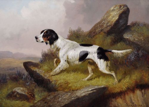 SPORTING DOG OIL PAINTING OF A SETTER IN A LANDSCAPE BY COLIN GRAEME ROE - ADDITIONAL PHOTO 1