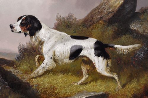 SPORTING DOG OIL PAINTING OF A SETTER IN A LANDSCAPE BY COLIN GRAEME ROE - ADDITIONAL PHOTO 2