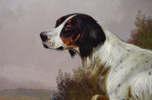 SPORTING DOG OIL PAINTING OF A SETTER IN A LANDSCAPE BY COLIN GRAEME ROE - ADDITIONAL PHOTO 3