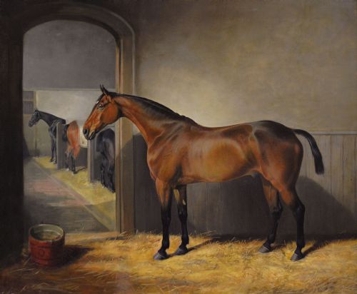 HORSE PORTRAIT OIL PAINTING OF A BAY HORSE IN A STABLE BY EDWARD LLOYD OF ELLESMERE - ADDITIONAL PHOTO 1