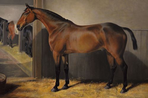HORSE PORTRAIT OIL PAINTING OF A BAY HORSE IN A STABLE BY EDWARD LLOYD OF ELLESMERE - ADDITIONAL PHOTO 2