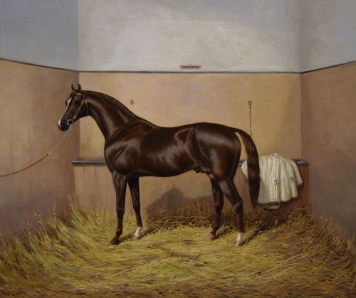 HORSE PORTRAIT OIL PAINTING OF THE RACEHORSE WORCESTER BY ALBERT CLARK - ADDITIONAL PHOTO 1