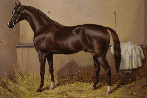 HORSE PORTRAIT OIL PAINTING OF THE RACEHORSE WORCESTER BY ALBERT CLARK - ADDITIONAL PHOTO 2