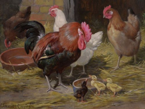 PAIR OF FARM ANIMAL OIL PAINTINGS OF CHICKENS OTHER ANIMALS BY CLAUDE CARDON - ADDITIONAL PHOTO 1