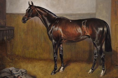 HORSE PORTRAIT OIL PAINTING OF THE RACEHORSE GENERAL PEACE BY JOHN ALFRED WHEELER - ADDITIONAL PHOTO 2