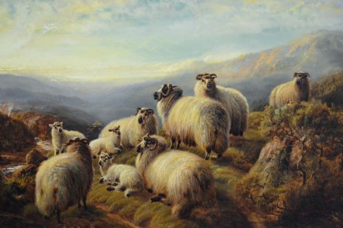 LANDSCAPE OIL PAINTING OF HIGHLAND SHEEP RESTING BY ROBERT WATSON - ADDITIONAL PHOTO 1