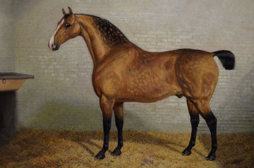 fig 2. A nineteenth-century oil painting featuring a dappled buckskin horse standing in profile inside a stable, framed by a timber surround with a gilt inner slip.