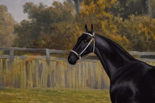fig 3. An oil painting depicting a black horse standing in profile within a green pasture, framed in a stepped gold frame.