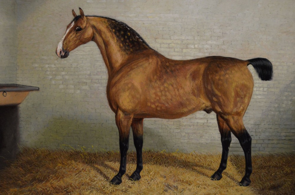 A nineteenth-century oil painting featuring a dappled buckskin horse standing in profile inside a stable, framed by a timber surround with a gilt inner slip. View III