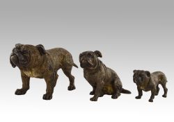 SET OF 3 COLD PAINTED AUSTRIAN BRONZE SCULPTURES OF BULLDOGS IN THE MANNER OF FRANZ XAVIER BERGMAN