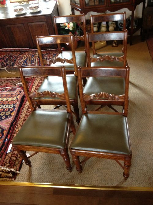 Six Regency Bar Backed Dining Chairs with Carved Decoration and Shaped Understretchers