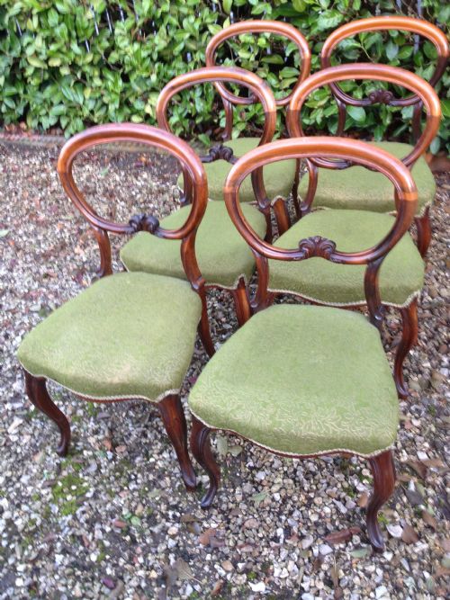 Antique Victorian Solid Rosewood Set of Six Balloon Backed Dining Chairs