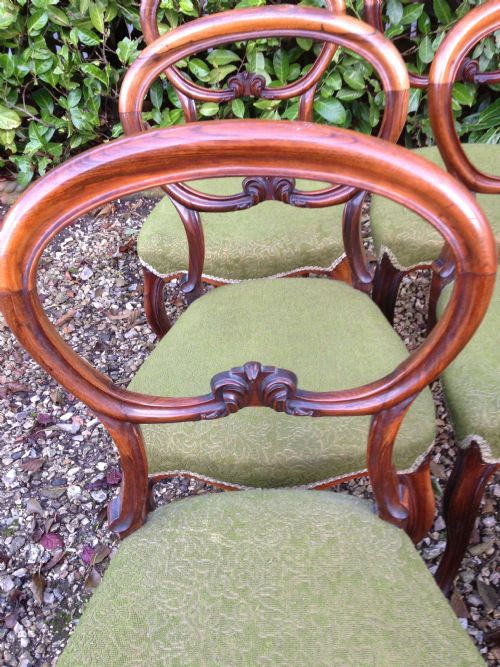 fig 1. Antique Victorian solid rosewood set of six balloon backed dining chairs