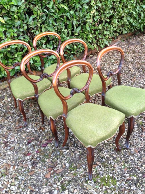 fig 2. Antique Victorian solid rosewood set of six balloon backed dining chairs