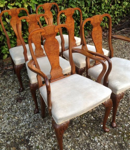 Set of Six Burr Walnut Dining Chairs on Carved Cabriole Legs C 1920