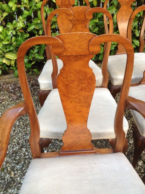 fig 1. Set of six burr walnut dining chairs on carved cabriole legs c 1920