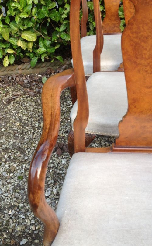 fig 2. Set of six burr walnut dining chairs on carved cabriole legs c 1920