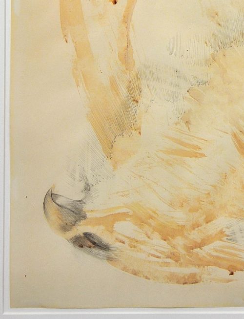 DAME ELISABETH FRINK 1930 1993 HAWK 1969 FRAMED WATERCOLOUR MID 20TH CENTURY BRITISH PAINTING - ADDITIONAL PHOTO 9